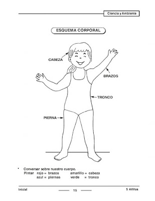 Esquema corporal del cuerpo para Inicial Preescolar