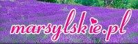 http://www.marsylskie.pl/