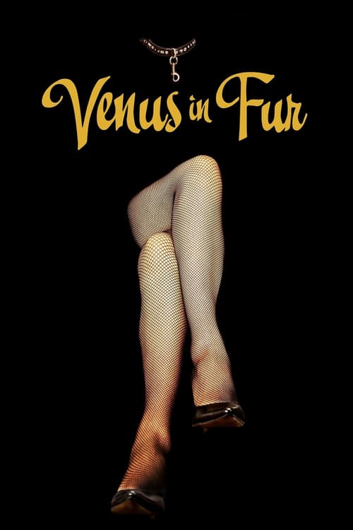 [HD] La Vénus à la fourrure 2013 Streaming Vostfr DVDrip