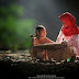 Beautiful Indonesian Villages Captured By The Talented Photographer Herman Damar.