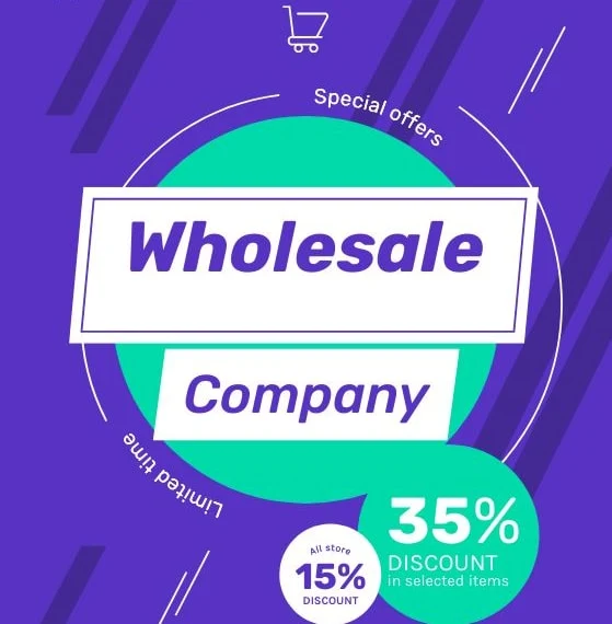 A wholesale agency may gain from an e-commerce website for numerous motives