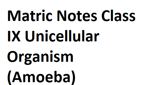 Matric Notes Class IX Biology Unicellular Organism (Amoeba) matricnotes0