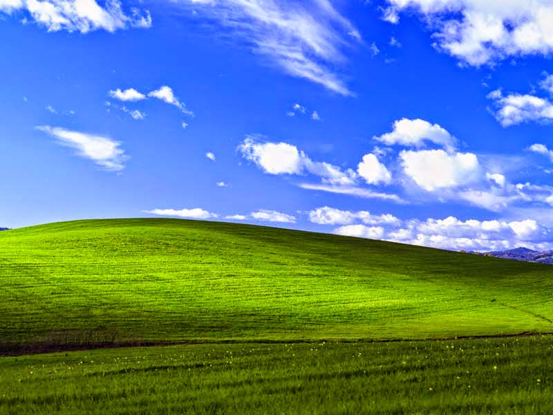 The Default Wallpaper of Microsoft Windows XP