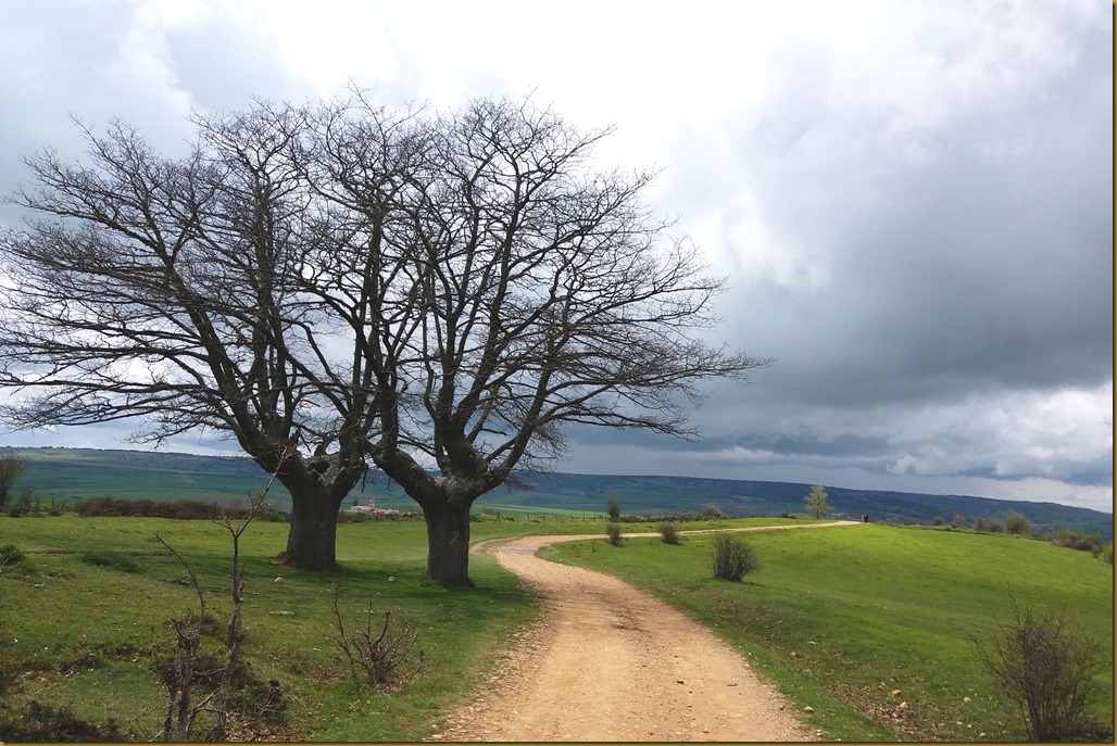 20180429_150839cr San Juan Ortega - Atapuerca - Caminho Frances Santiago Compostela