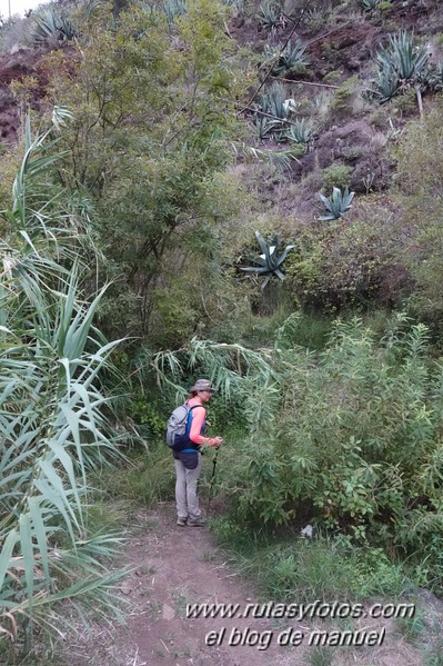 Afur - Taganana - Parque Rural de Anaga