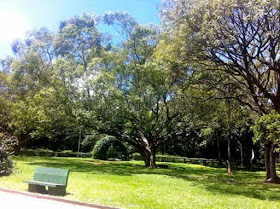 Parque Ibirapuera