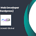 Intern Web Developer (Wordpress)