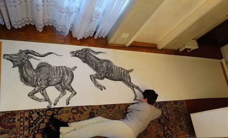 15-Year-Old Boy Illustrates Stunning Animal Drawings From Memory