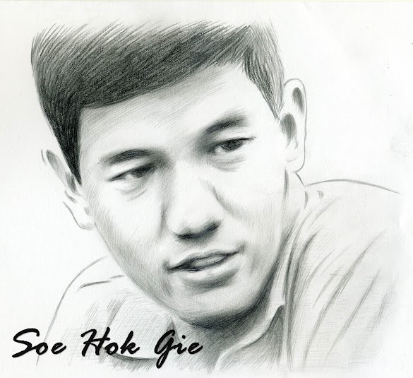 Soe Hok Gie, Mahasiswa Idealis