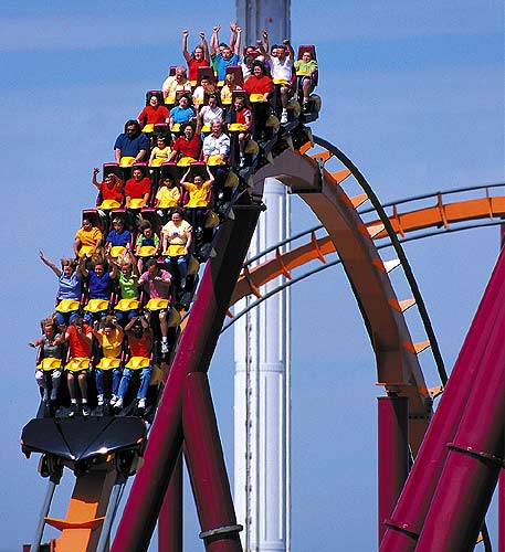 bull shark attack lake michigan. six flags great america. six