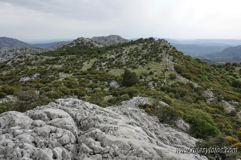 Nueve picos de la Sierra del Endrinal