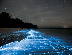 Lautan Bintang di Pulau Vaadhoo, Maladewa