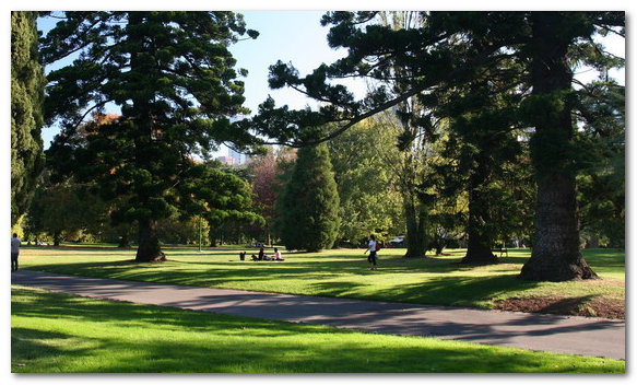 ve may bay di melbourne, uc