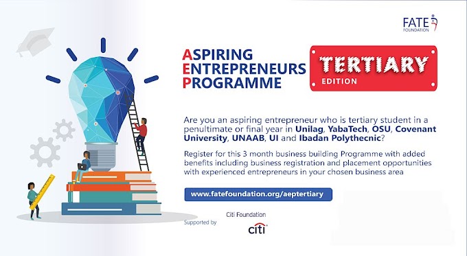 Fate / Citi foundation Aspiring  Entrepreneurs Programme 2019 - Tertiary Edition for Nigerian Undergraduates