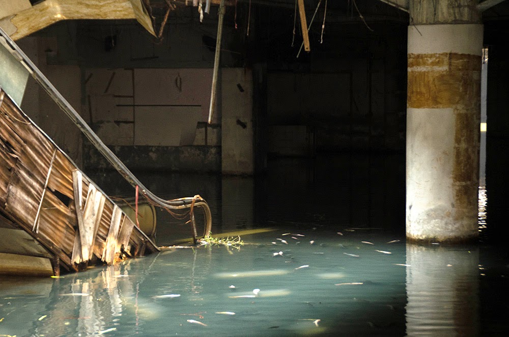 SERAM SHOPPING MALL TERBIAR MENJADI KOLAM IKAN 6 GAMBAR