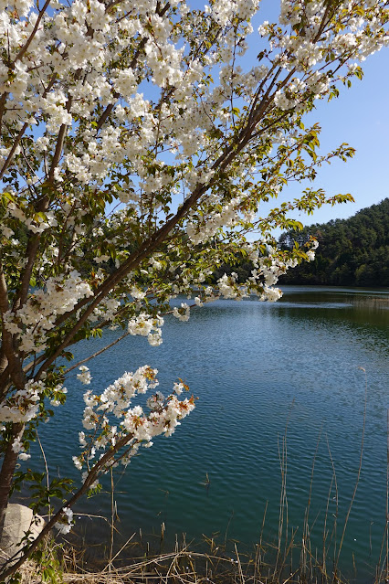 鳥取県西伯郡大山町鈑戸 種原集落の溜池