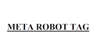 Meta Robot Tag