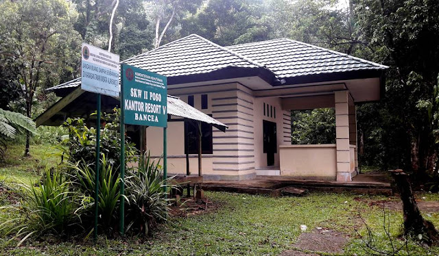 taman anggrek bancea poso