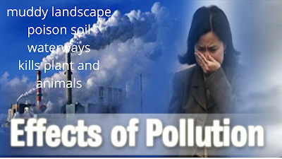 pollution-Effects-of-Pollution-muddy-landscape-poison-soil-waterways-kills-plant-and-animals