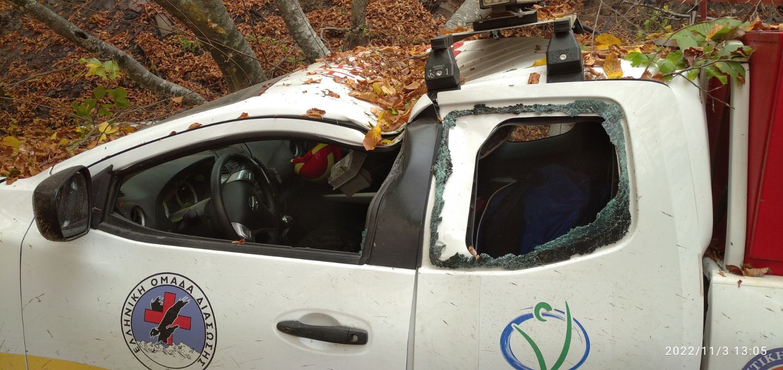 Παπίκιο Όρος: Δέντρα καταπλάκωσαν όχημα – Σώθηκε από θαύμα εθελοντής