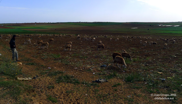 grandes-rutas-larache-moulay-bousselham