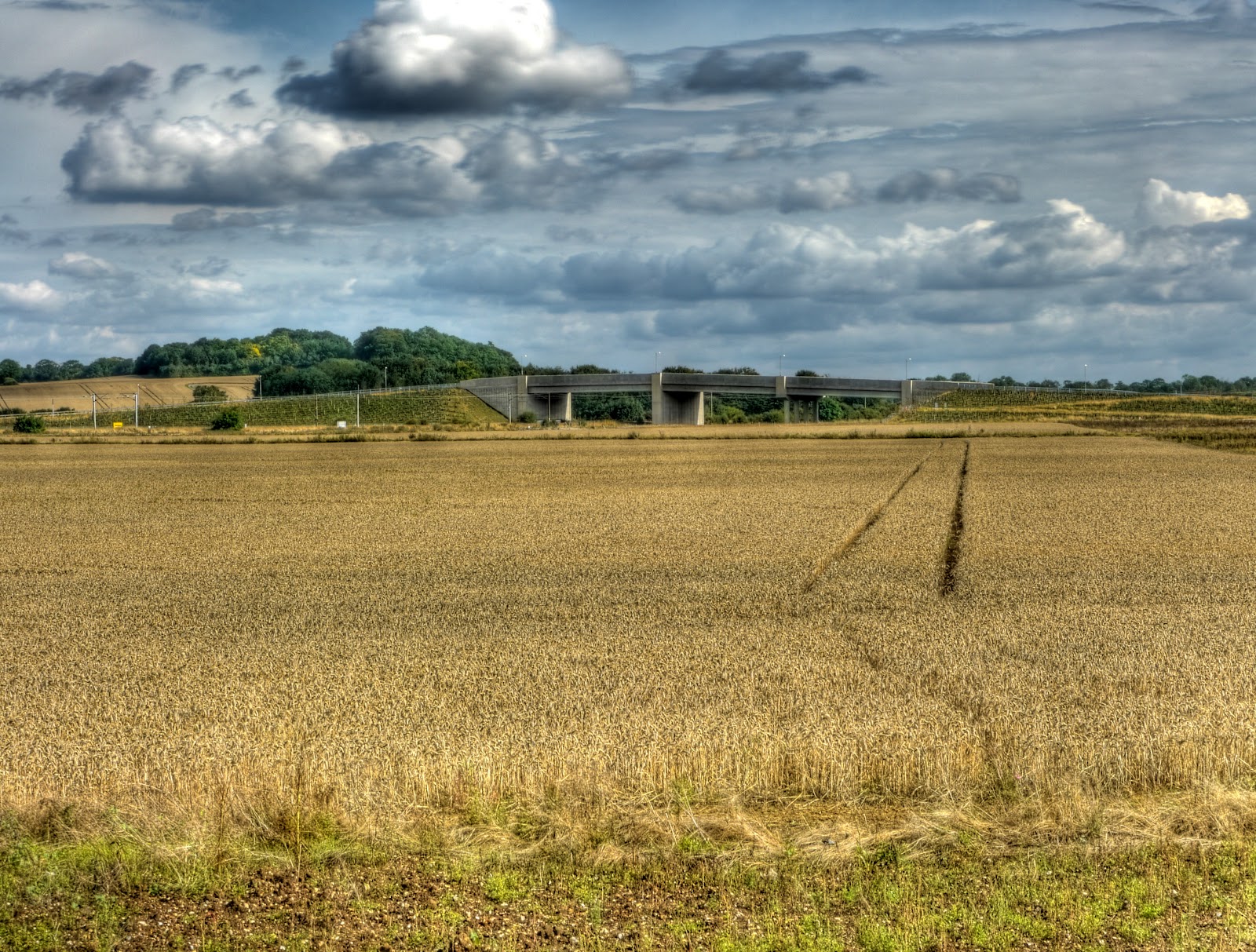 P1150961_55_56_57_58_59_60_tonemapped.jpg