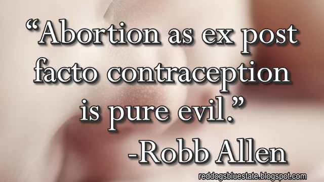 “Abortion as ex post facto contraception is pure evil.” -Robb Allen