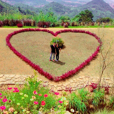 Taman Cinta (love)