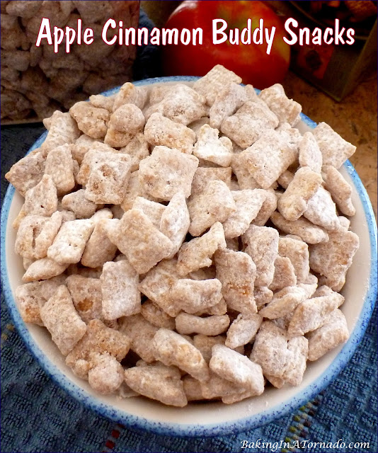 Apple Cinnamon Buddy Snacks, a fun version of the classic snack. | recipe developed by www.BakingInATornado.com | #recipe #snack