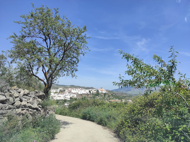 turismo-rural-el-burgo-sierra-de-las-nieves-malaga