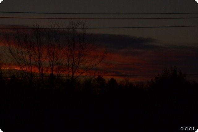 DSC_3417