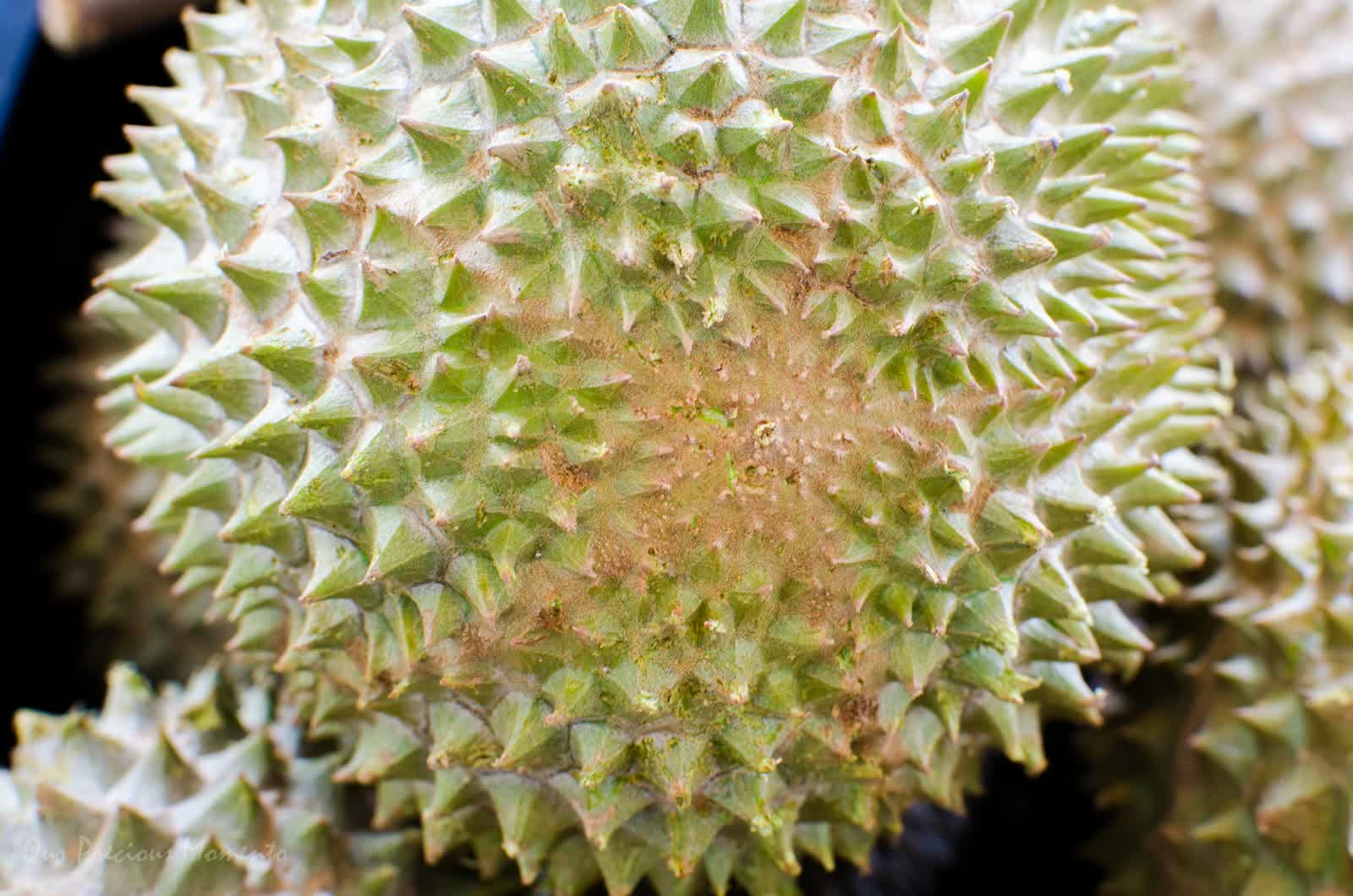 Kenali Baka Musang King Yang Asli