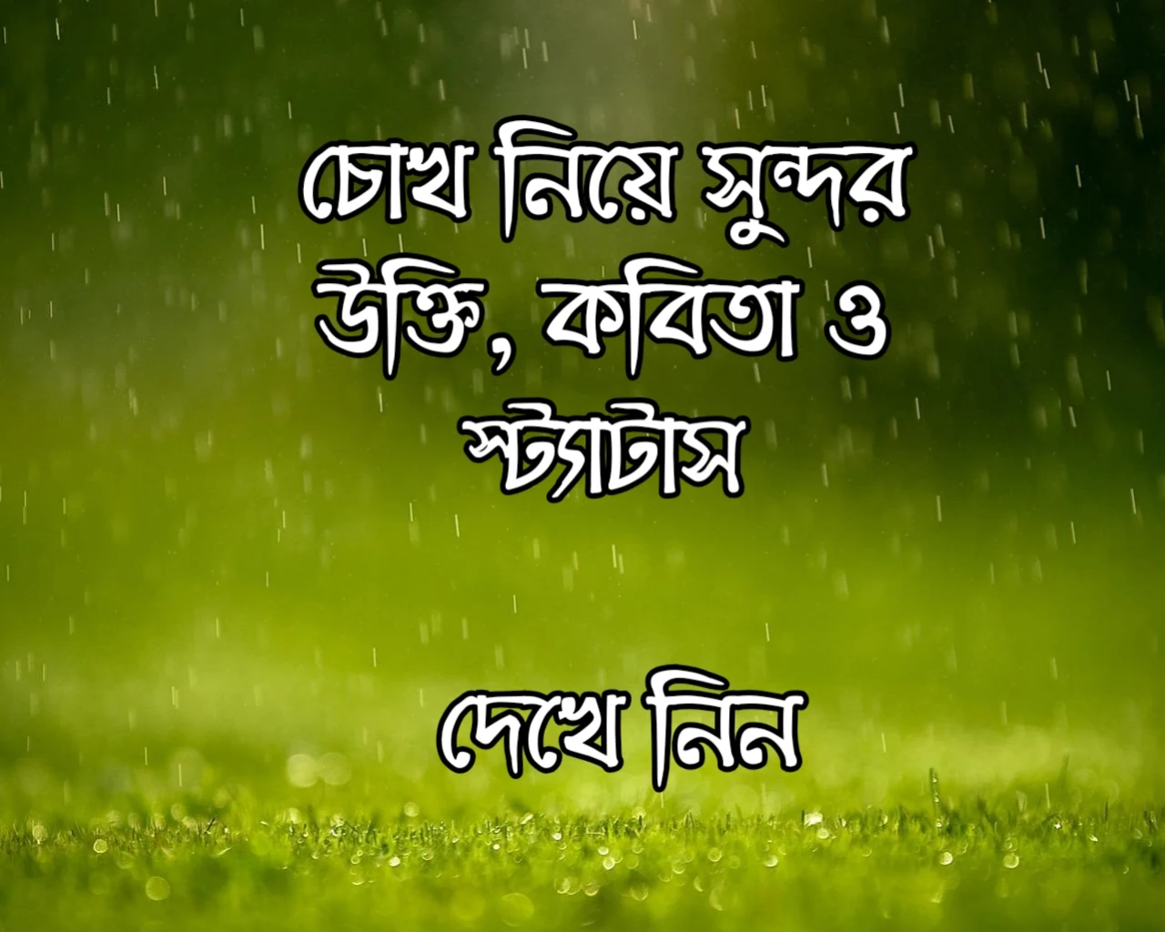 সুন্দর চোখ নিয়ে ক্যাপশন, বাংলা চোখ নিয়ে উক্তি , বাংলা চোখের বাণী , বাংলা চোখ নিয়ে উক্তি , চোখ নিয়ে উক্তি,  চোখ নিয়ে স্ট্যাটাস, চোখ নিয়ে কবিতা,  চোখ নিয়ে উক্তি বা বাণী