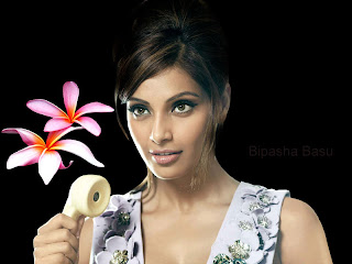 Bipasha Wallpapers