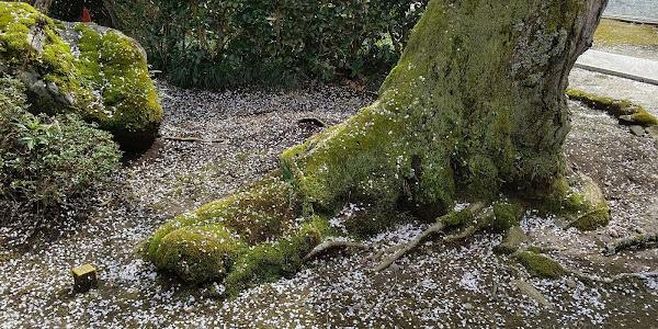 蒼龍寺へ再訪