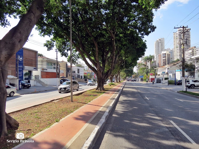 Vista de trecho da Avenida Pacaembu - São Paulo