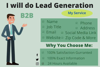 Provide targeted b2b lead generation 