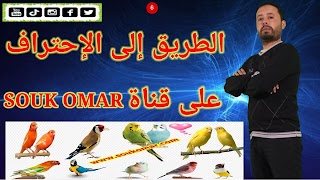 souk_omar