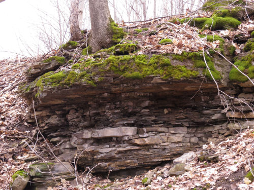 layered shale rocks