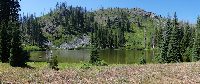 038: lake with trees