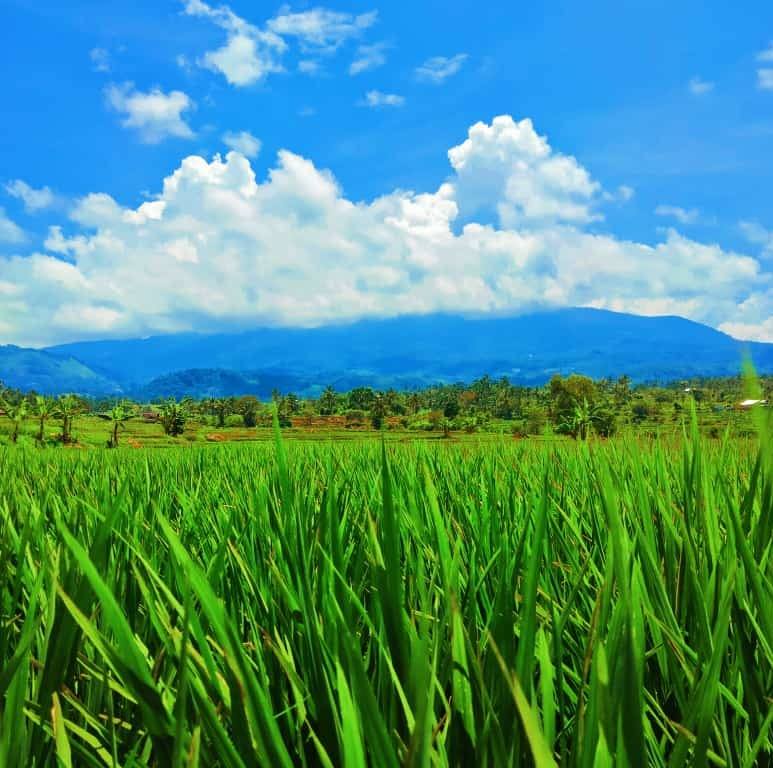 Gunung Talang: Spot Terbaik dari Titik Tertinggi Kabupaten Solok