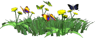 butterflies fluttering over flowers animated gif