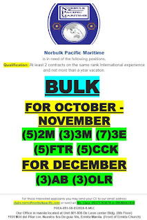 career at bulk carrier vessel