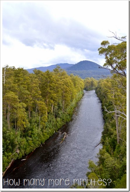 Tahune AirWalk ~ How Many More Minutes?