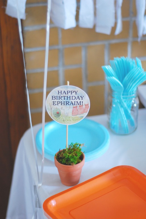 Peter Rabbit First Birthday Party