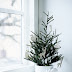 10  simple accent trees for Christmas