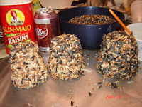 Bird Seed Treats