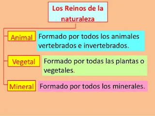 Los tres reinos de la Naturaleza: El Vegetal, El animal, y El Mineral.