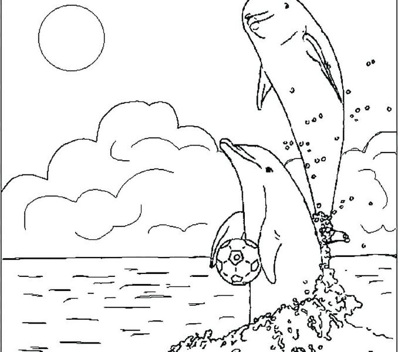 lost ocean coloring book pages