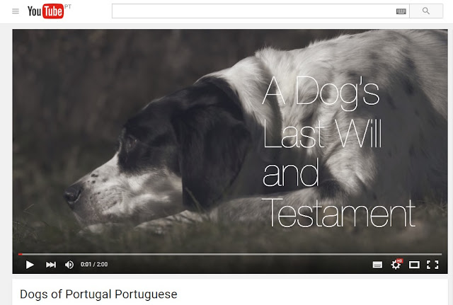 a dog's last will + testament+ testamento de um cão + testemunho canino + blogue de animais de estimação + vida de pet + pedro e telma
